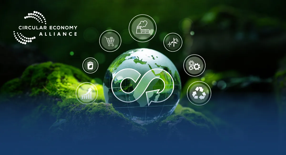 Transform Your Business with Circular Economy Strategies