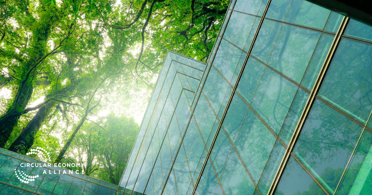Essential Insights on Circular Building Design for Sustainable Futures
