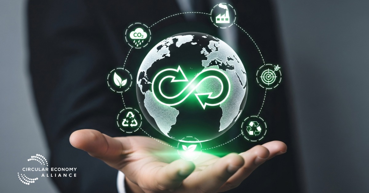 Circular Economy Courses & Certifications: Build a Future-Proof Sustainability Career