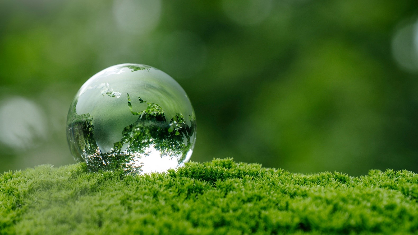 From Circular Economy Awareness to Action:  What Helps Businesses Make the Transition?